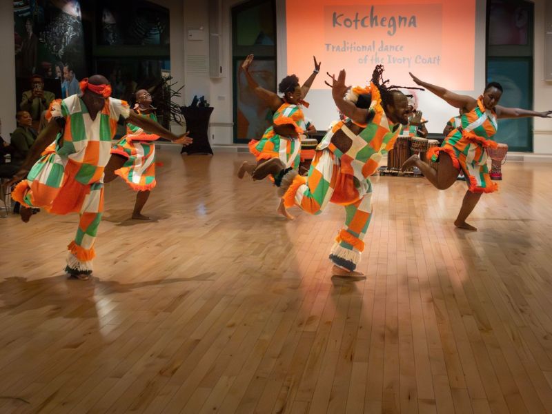 HAVA Institute promoting cultural public health through community engagement and global collaboration